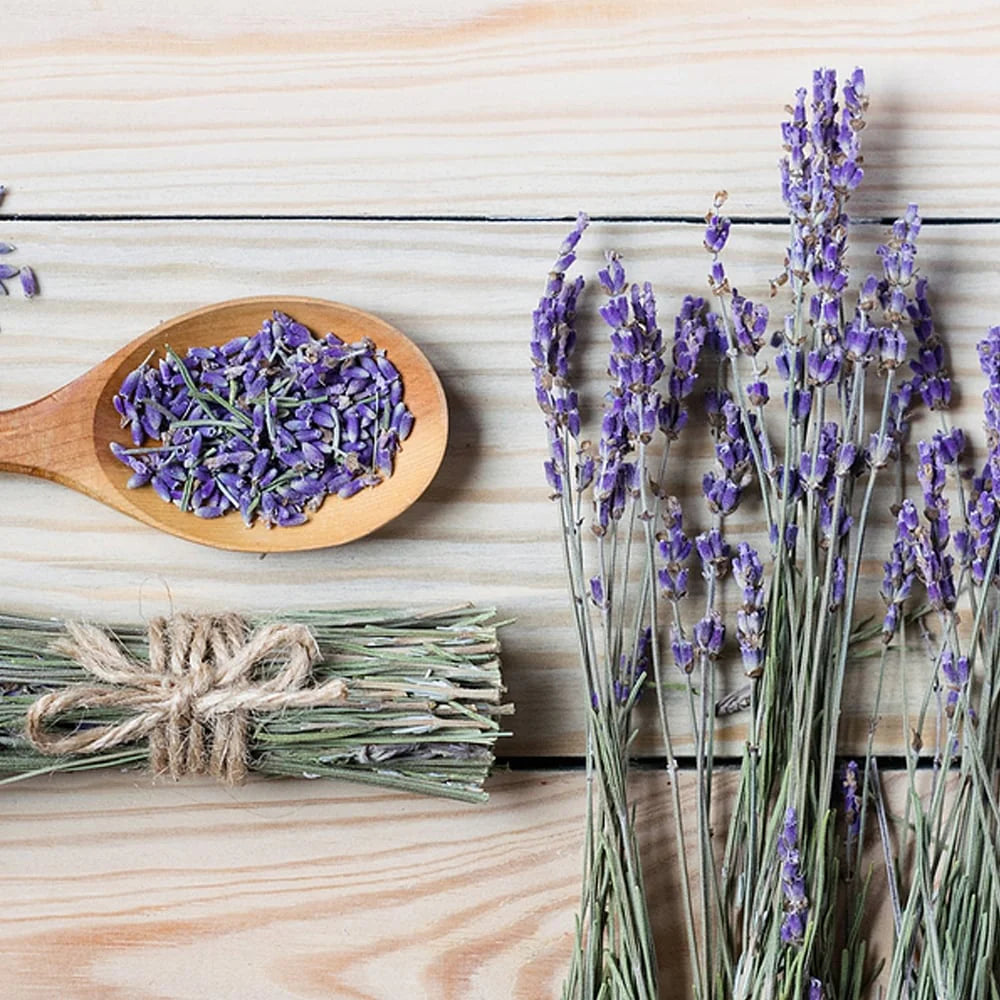 French Lavender Tranquility Soap by Natural Siren